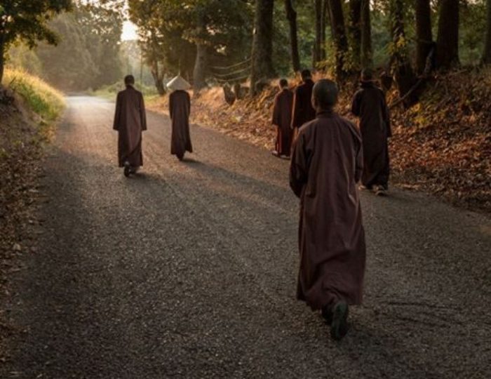 Walk With Me